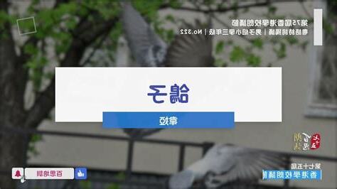 鴿子 韋婭